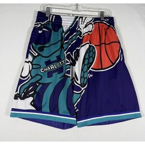 Mitchell & Ness Teal Charlotte Hornets Big Face Classics Shorts Men Large Purple